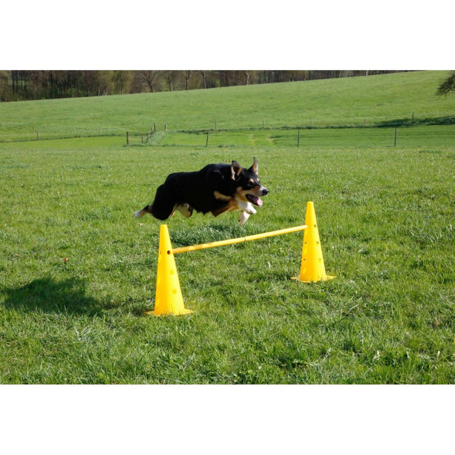 Kerbl Agility Pylon Set 3 Upstands Red/Yellow