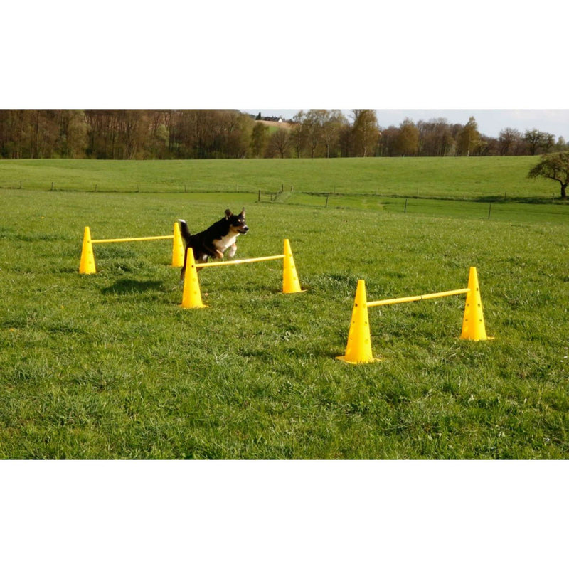 Kerbl Agility Pylon Set 3 Upstands Red/Yellow