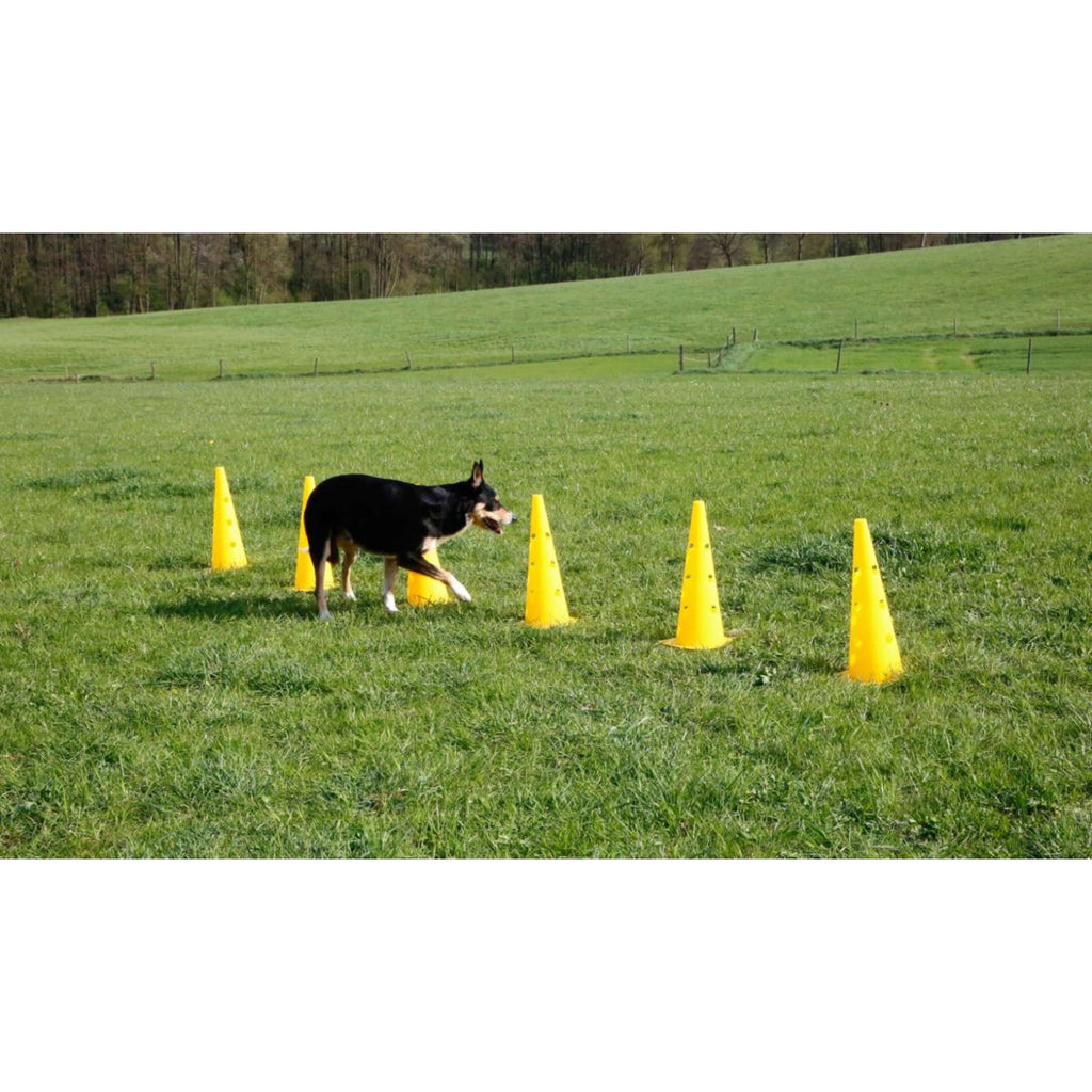 Kerbl Agility Pylon Set 3 Upstands Red/Yellow