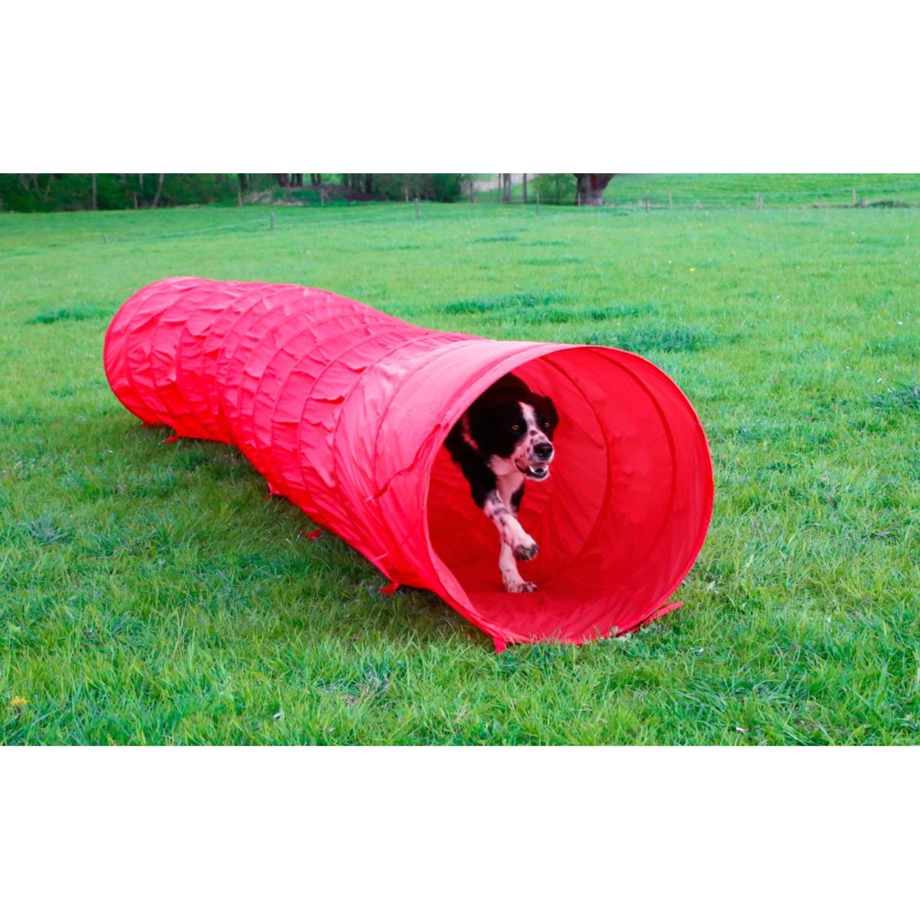 Kerbl Agility Dog Tunnel Red
