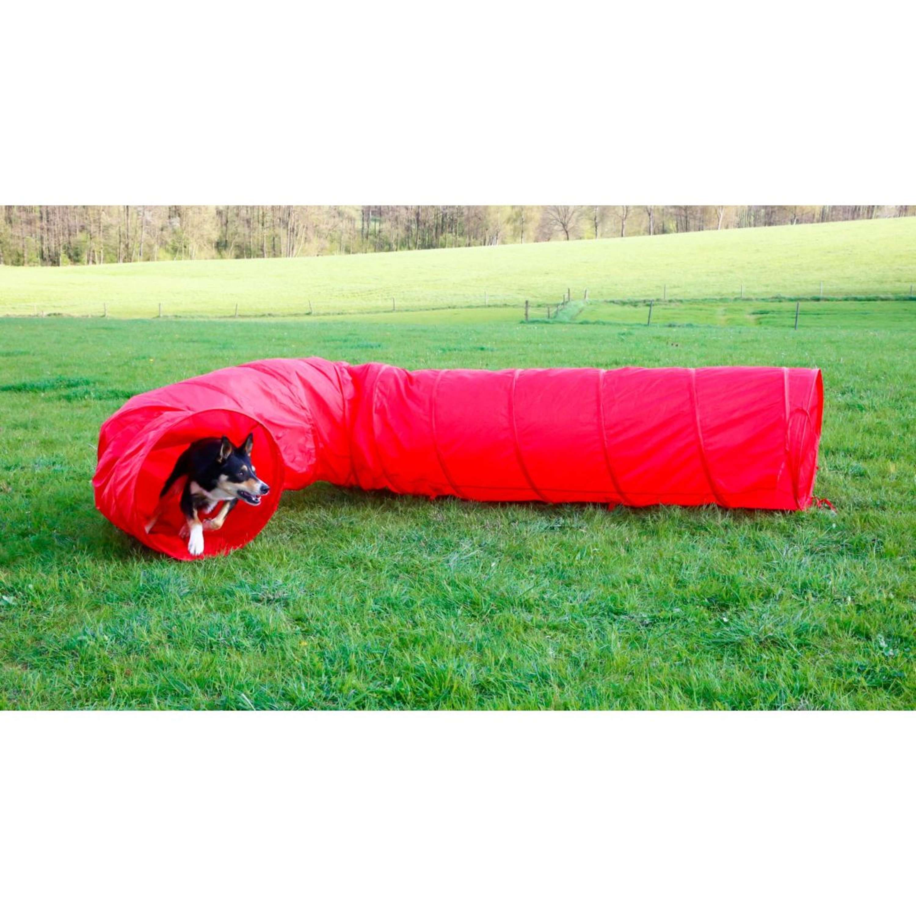 Kerbl Agility Dog Tunnel Red