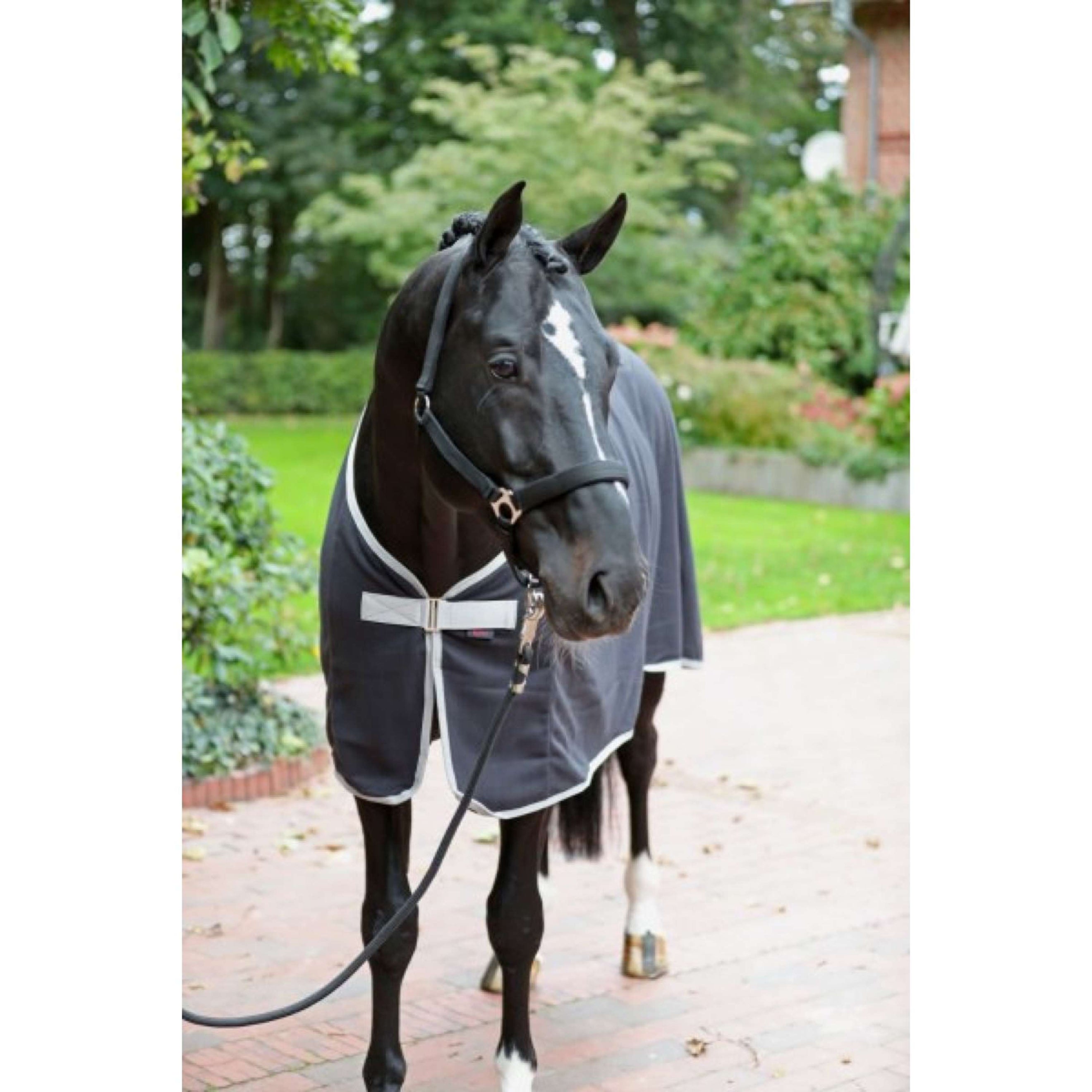 RugBe by Covalliero Fleece Rug RugBe Economic Black