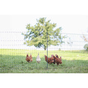 Ako Poultry Net Premium not Electrifiable Single Pen Green