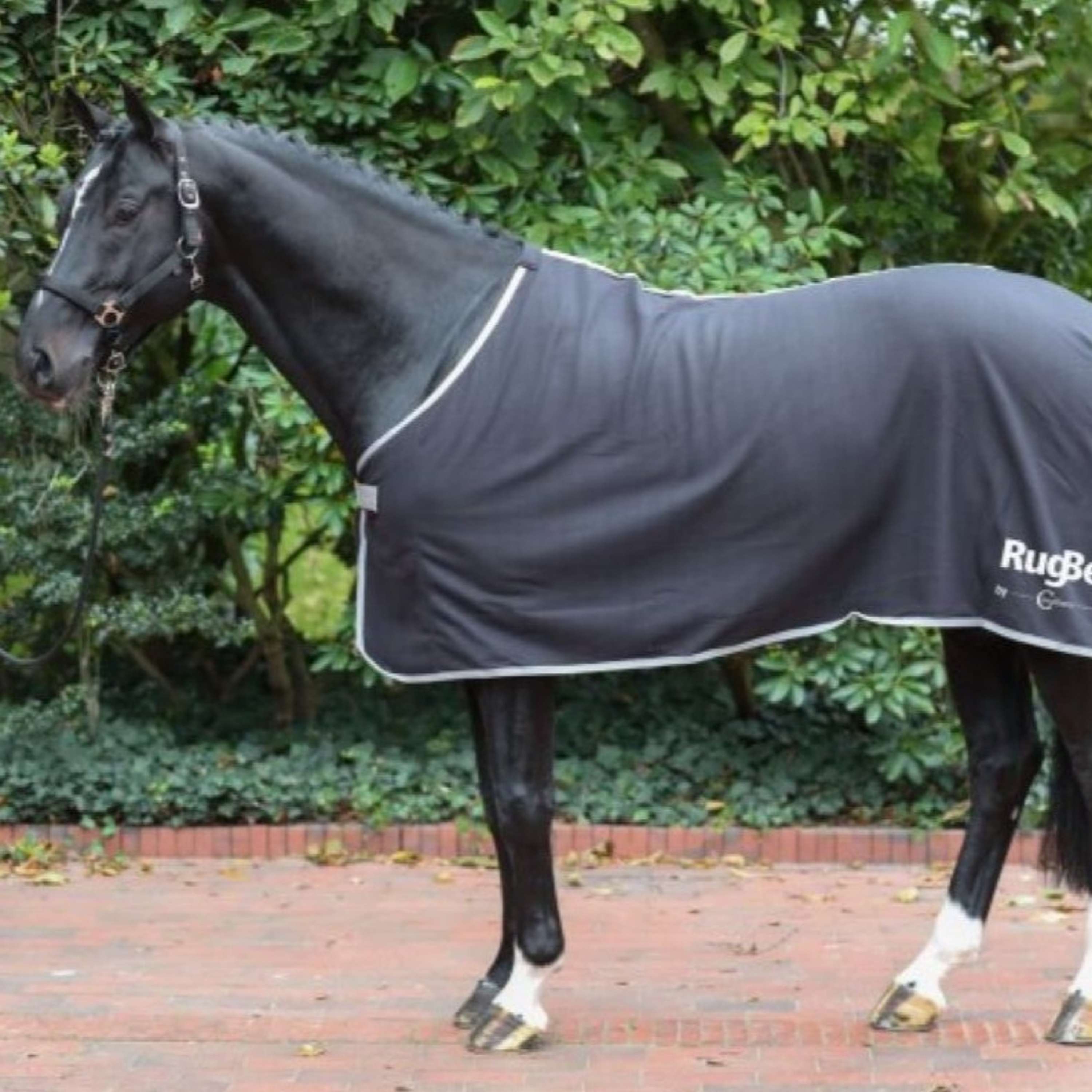 RugBe by Covalliero Fleece Rug Black