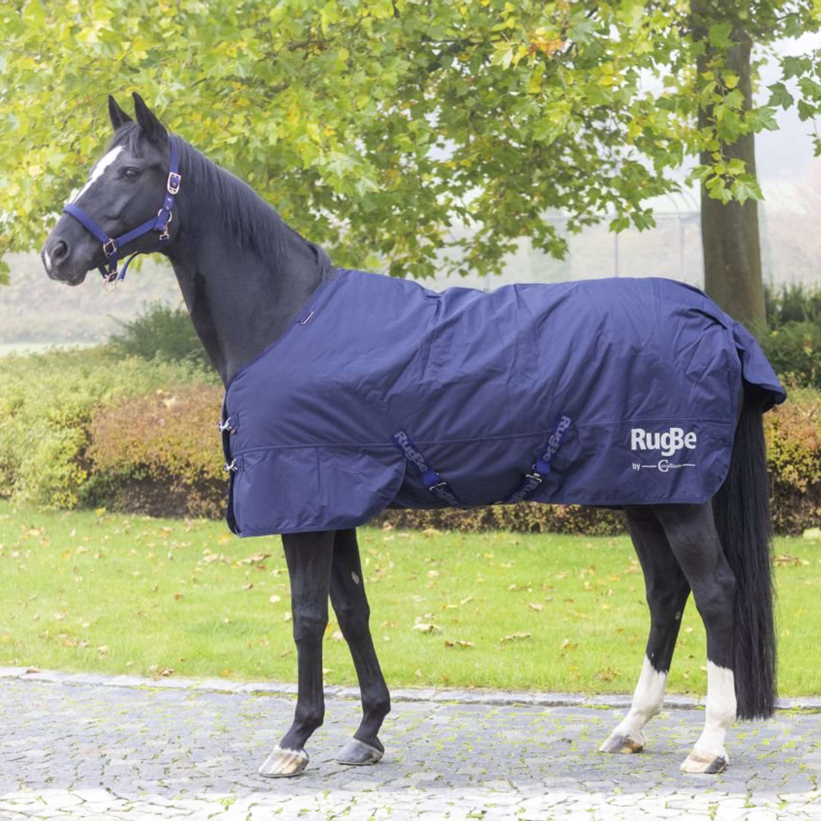 RugBe By Covalliero Winter Rug IceProtect 300g Dark Navy