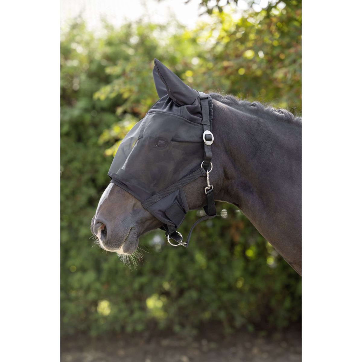 Kerbl Halter with Fly Mask Black