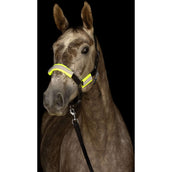 Kerbl Head Collar Set Reflex