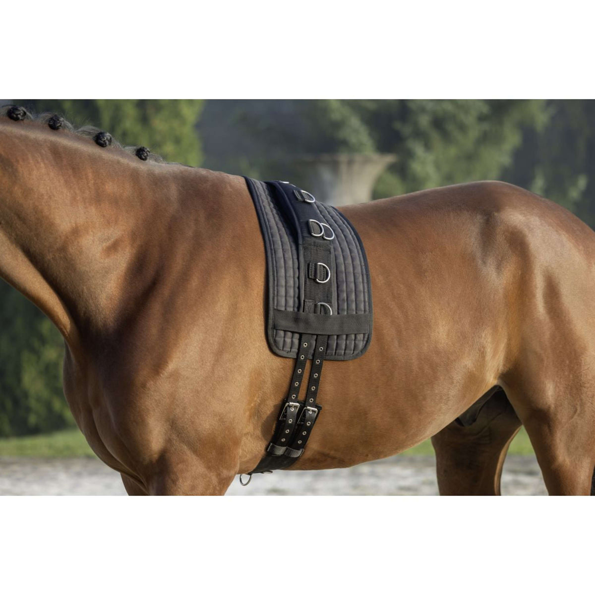 Kerbl Lunging Pad Black