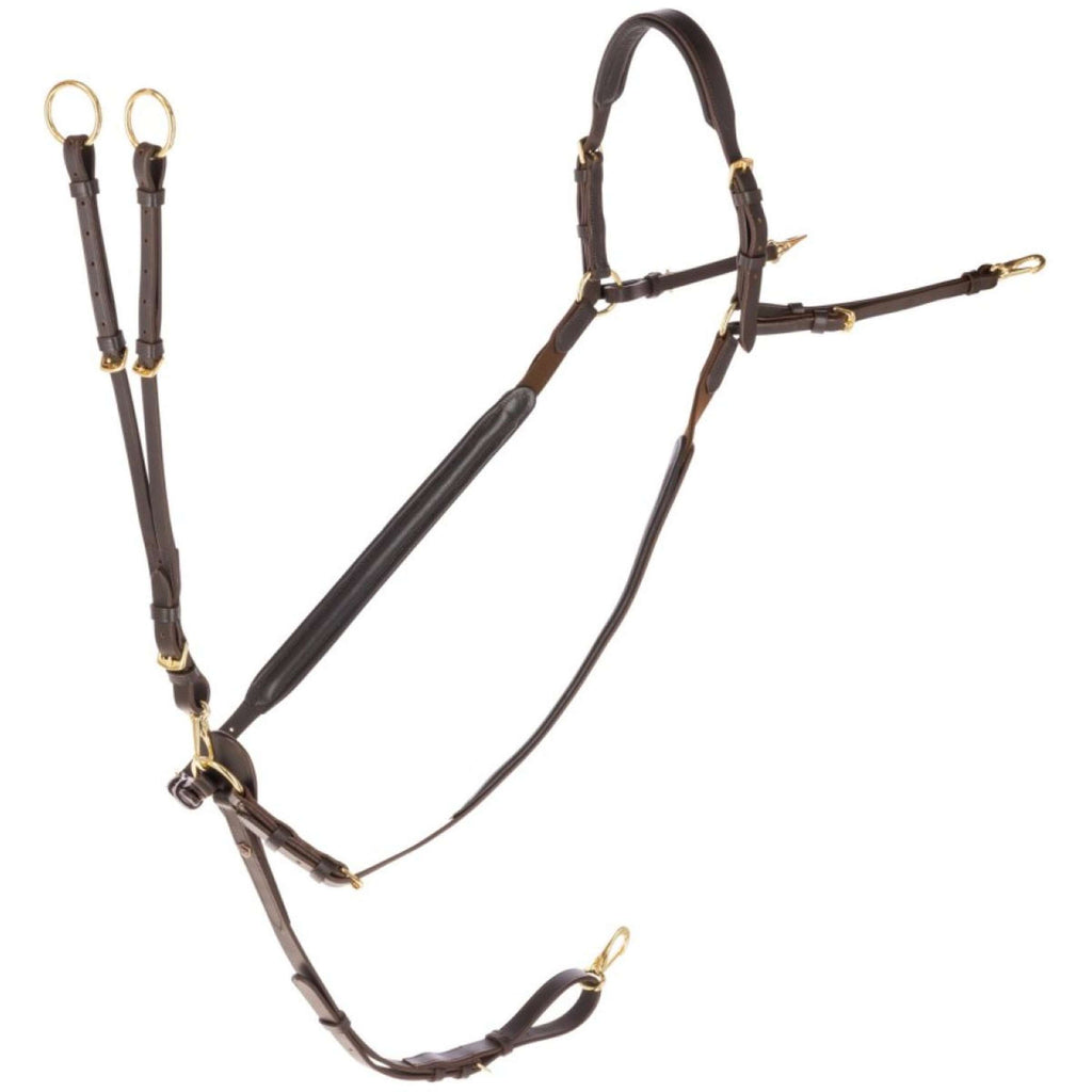 Covalliero Chest Buckle with a Martingale Brown