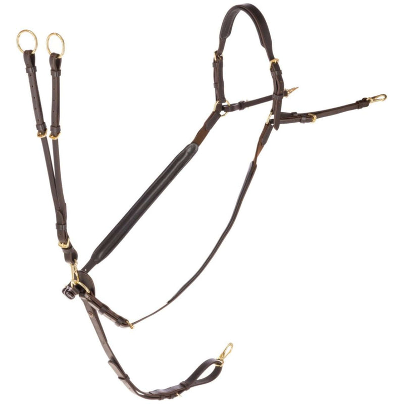 Covalliero Chest Buckle with a Martingale Brown