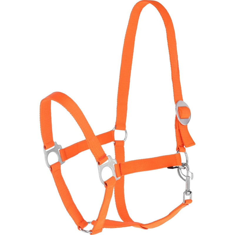 Covalliero Head-Collar Hippo Orange