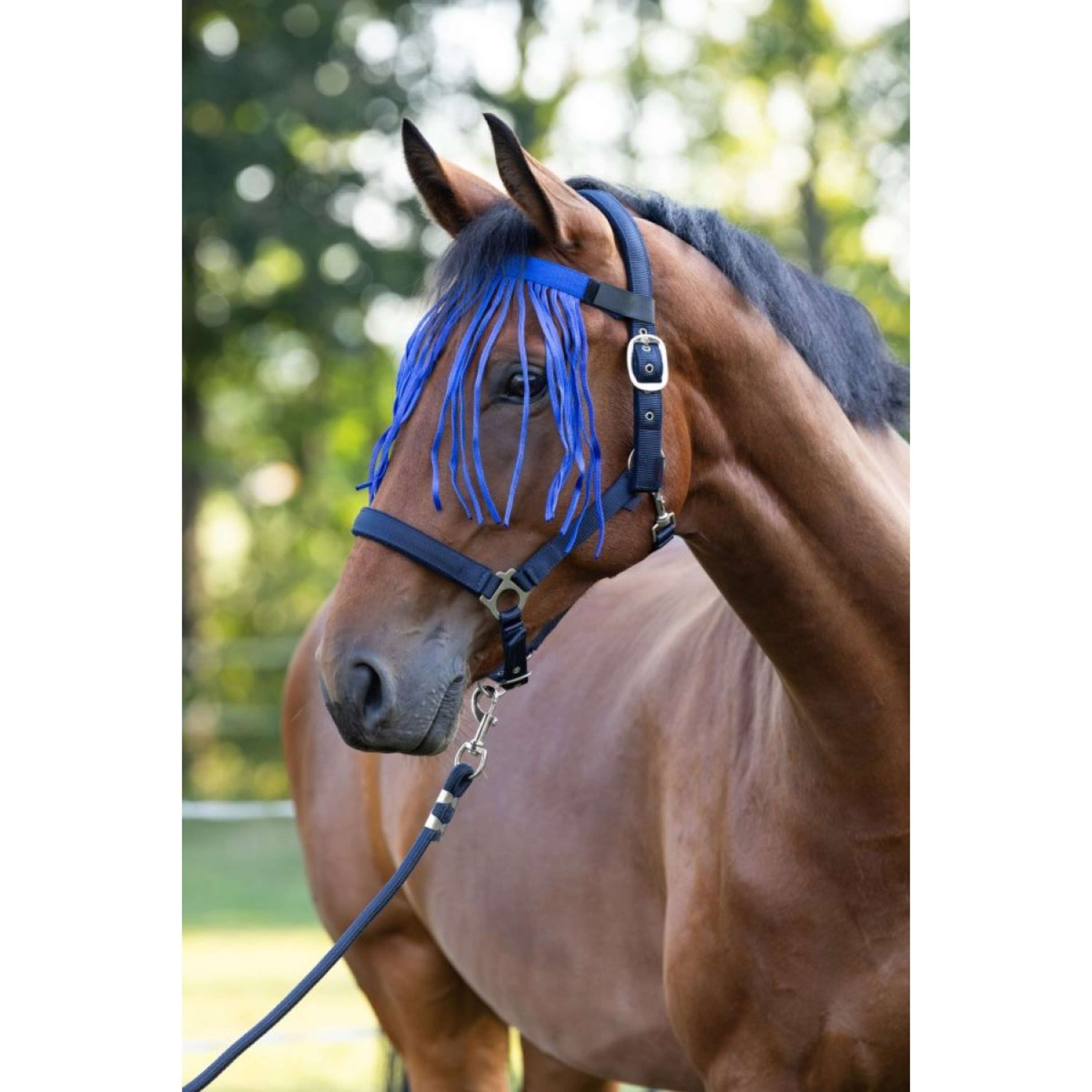 Kerbl Fly Fringe Strap Kittentape Blue