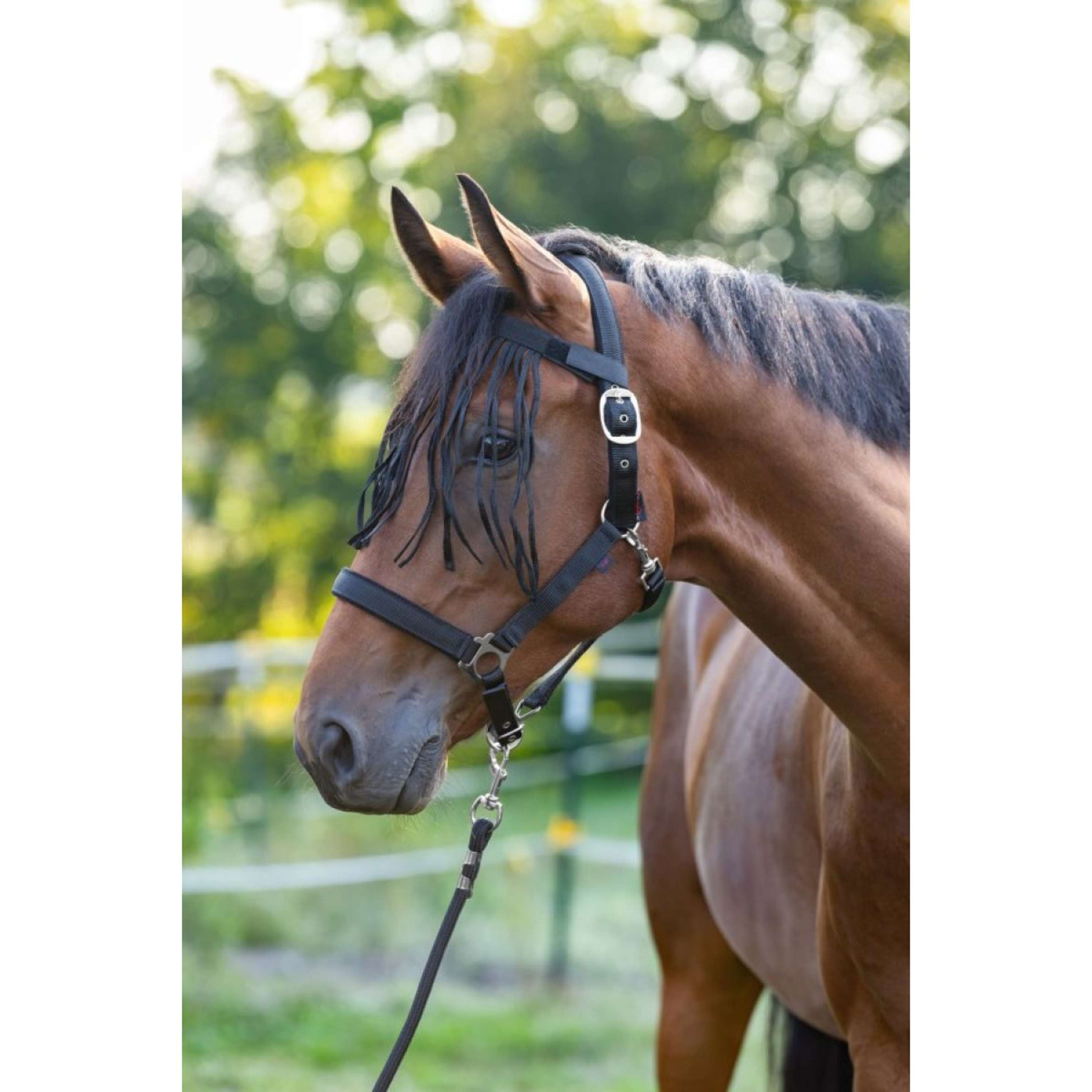 Kerbl Fly Fringe Strap Black