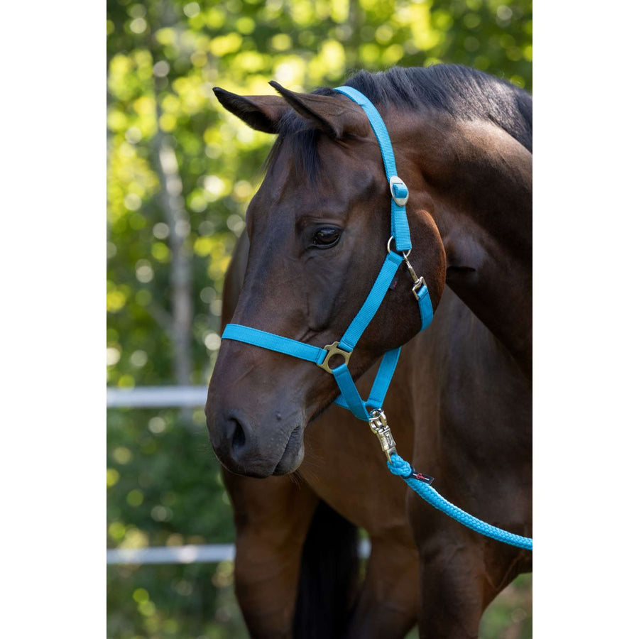 Covalliero Head-Collar Hippo Blue