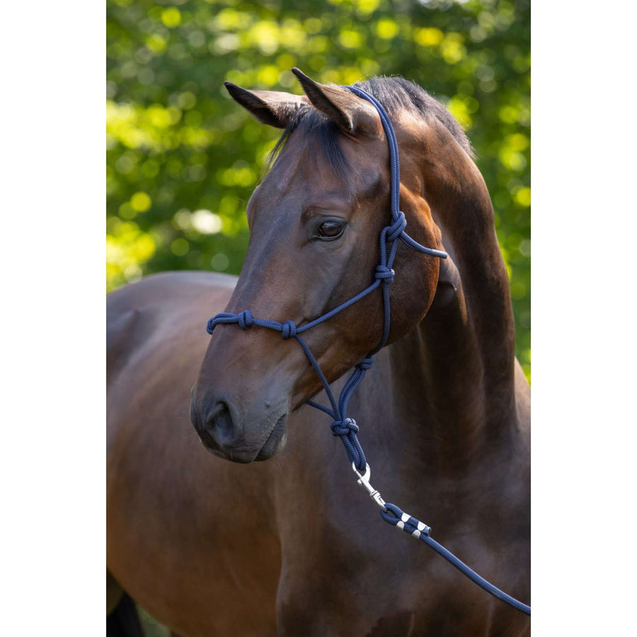 Covalliero Rope Halter Blue