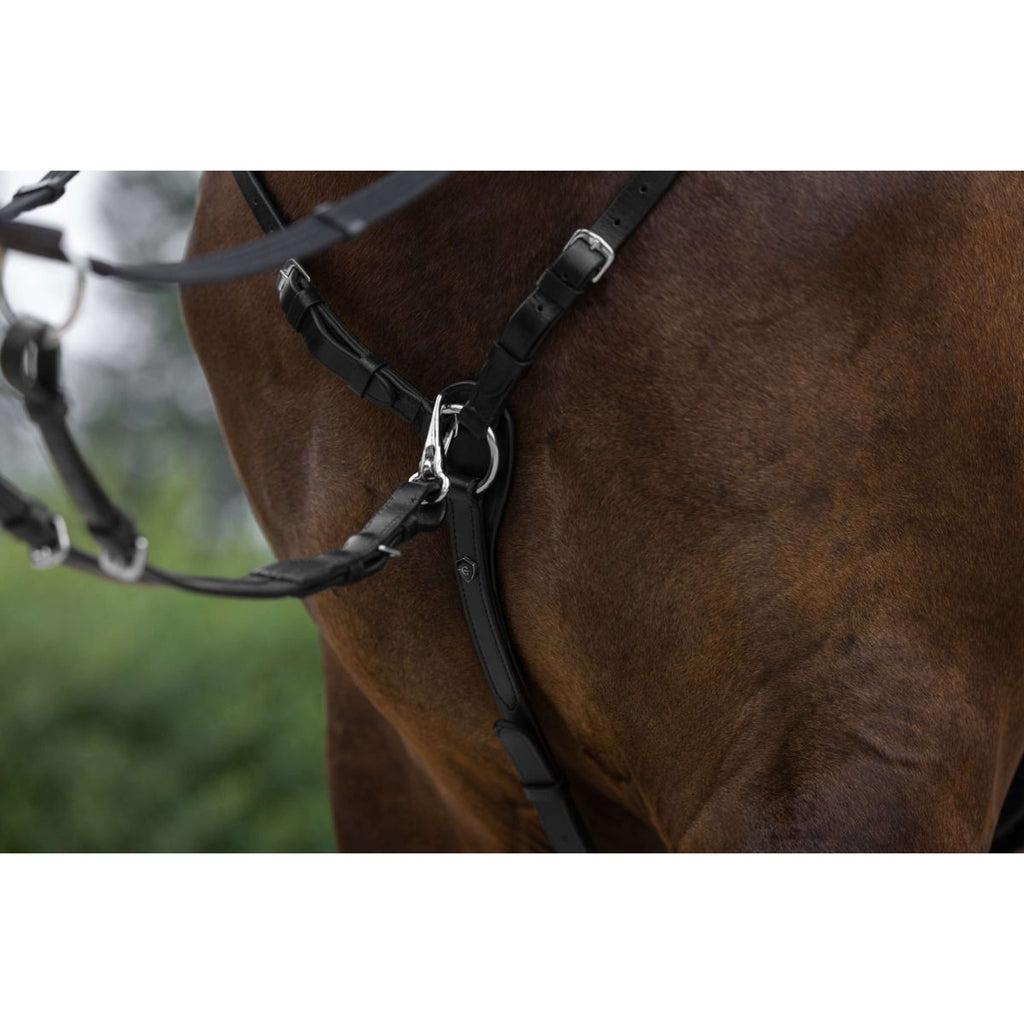 Covalliero Chest Buckle with a Martingale Black