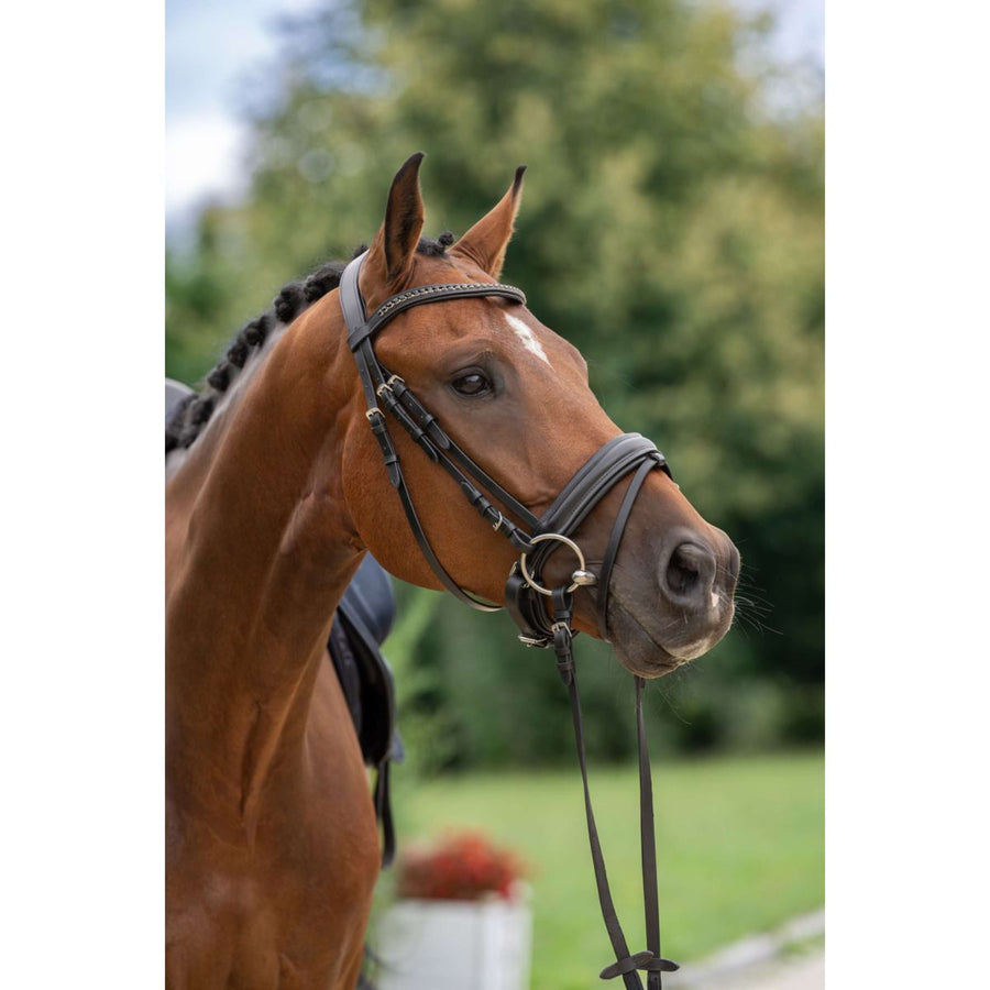 Covalliero Bridle Zweeds Black