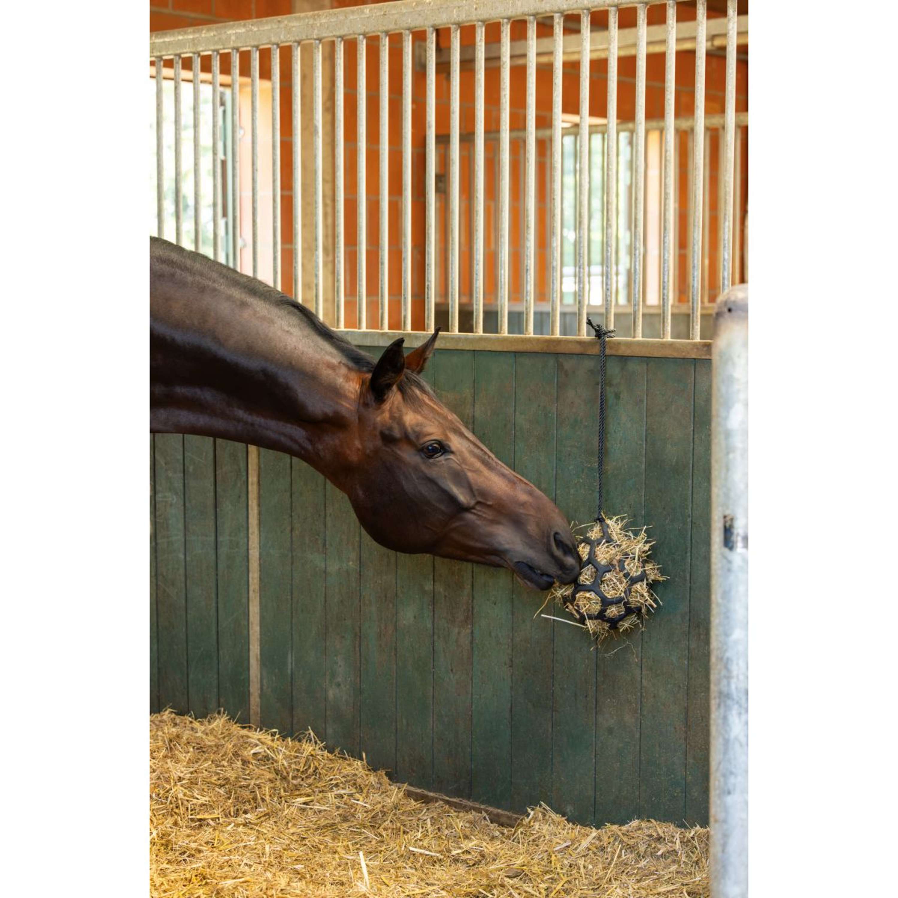Covalliero Hay Ball Flex Small Black