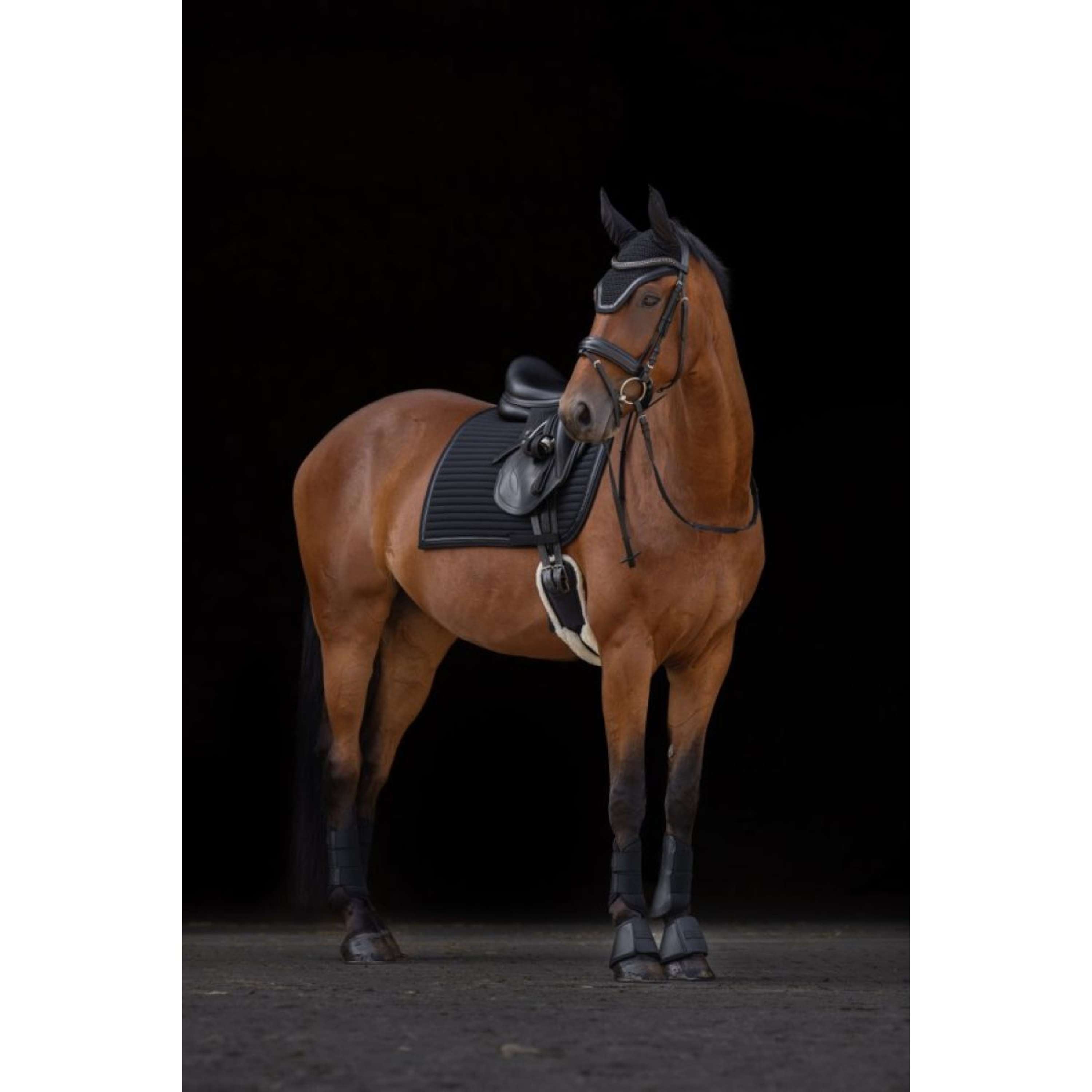 Covalliero Tendon Boots Avina Black