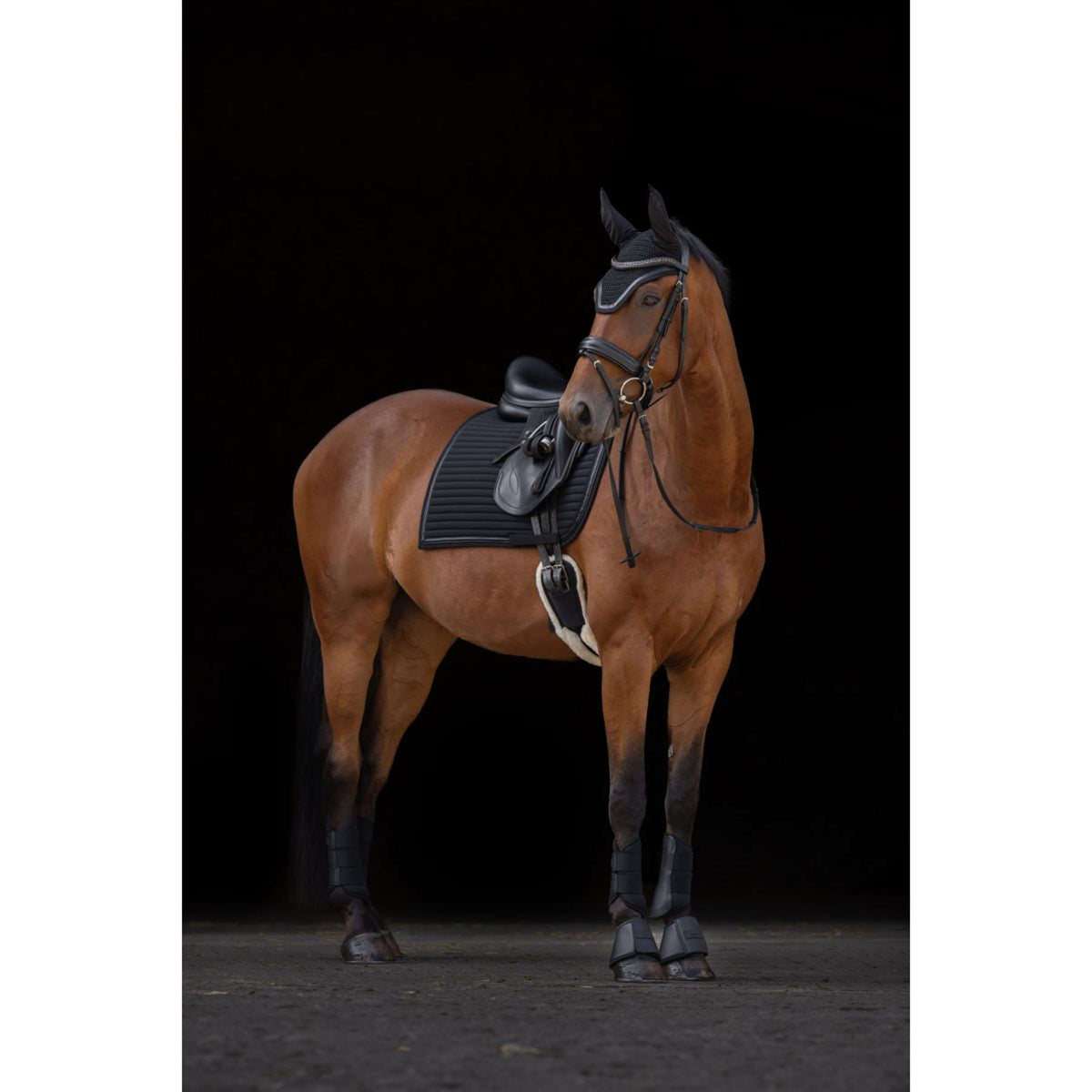 Covalliero Saddlepad Linea General Purpose Black