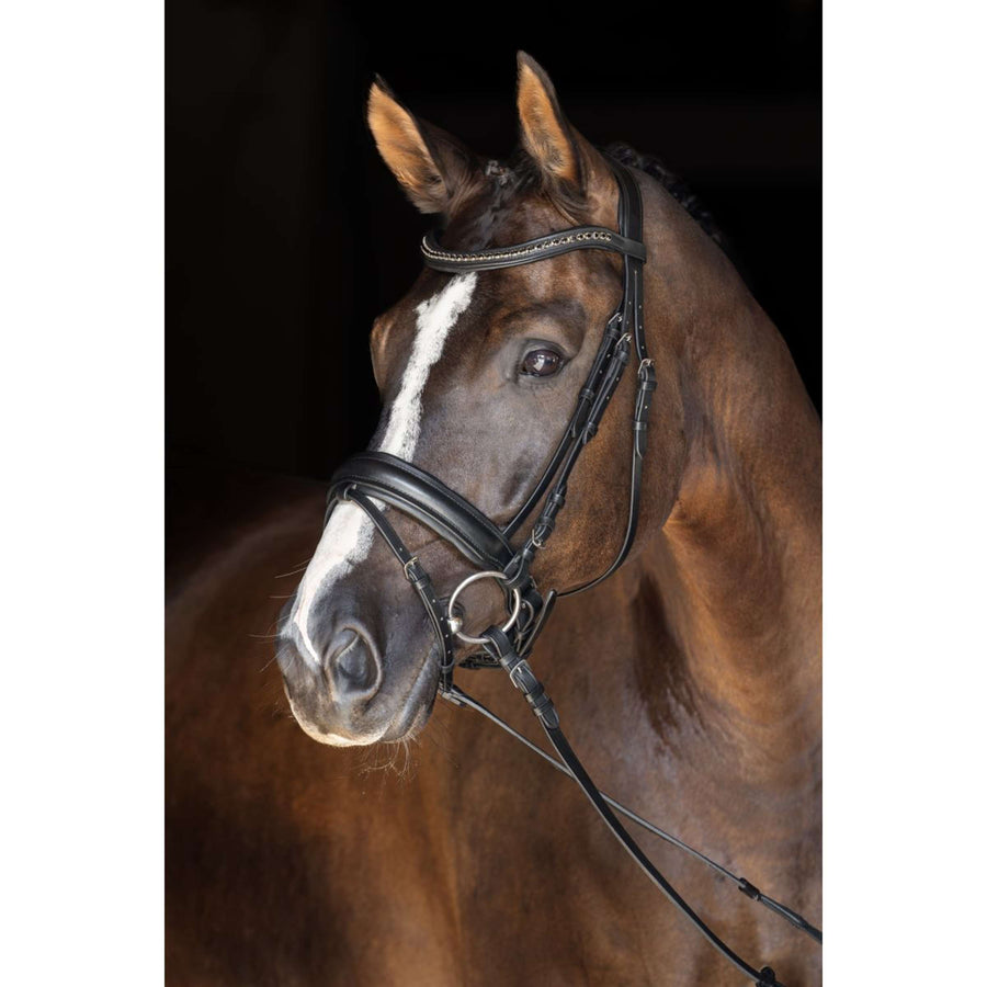 Covalliero Bridle Zweeds Black