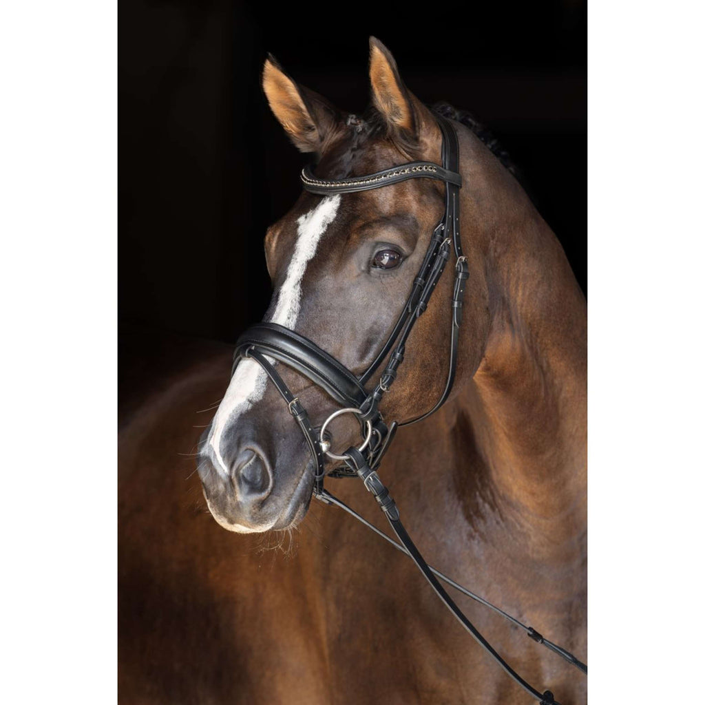 Covalliero Bridle Zweeds Black