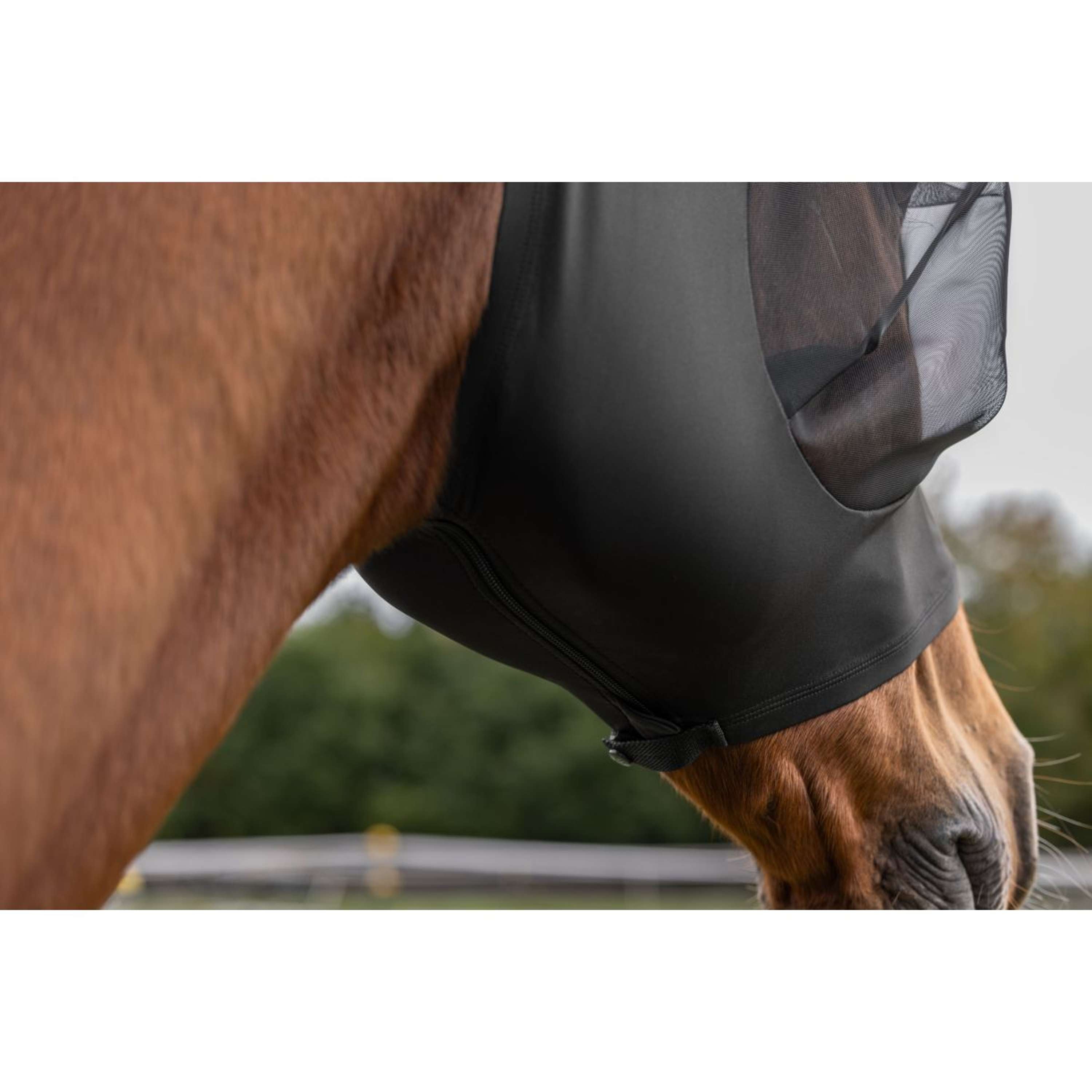 Covalliero Fly Mask FinoStretch Black