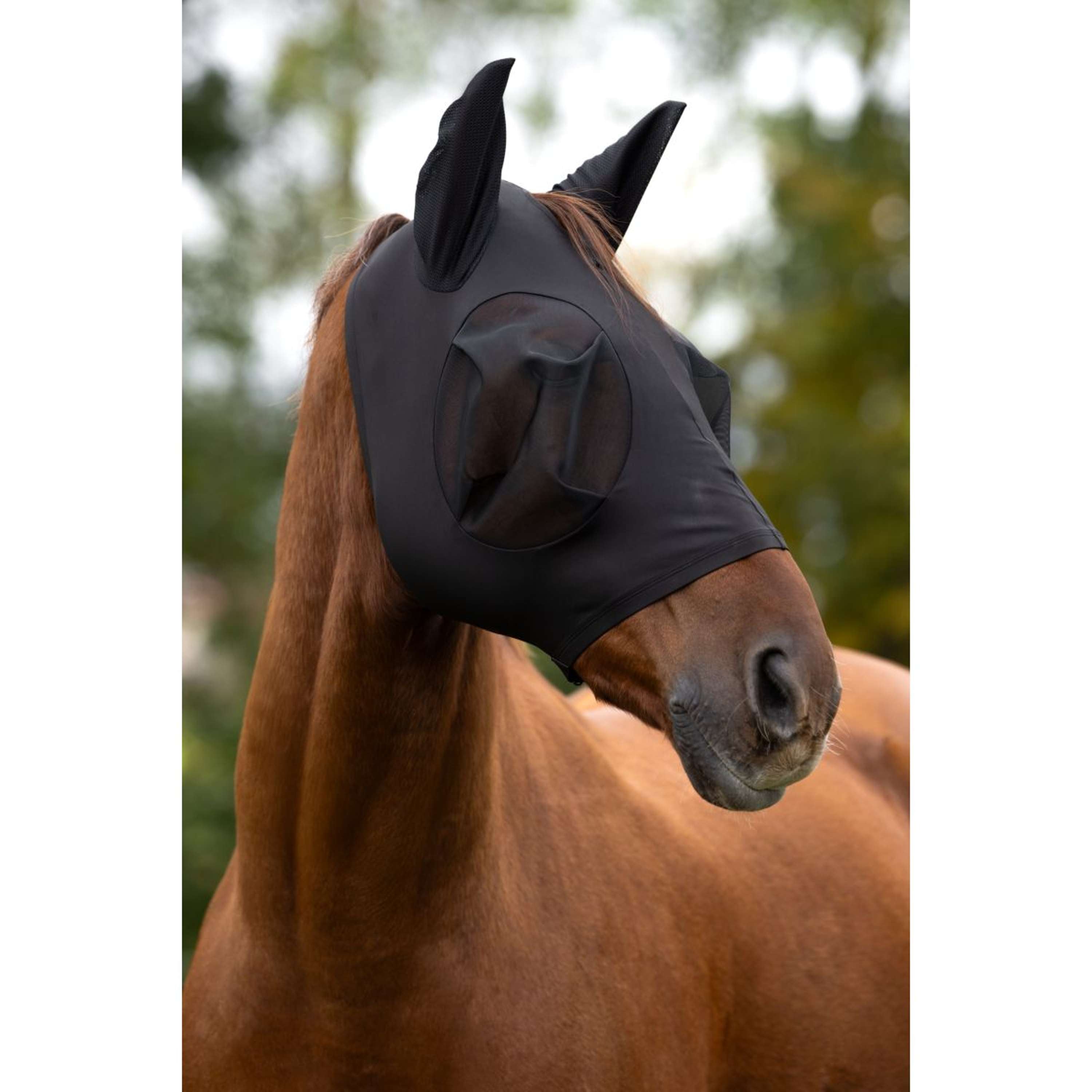 Covalliero Fly Mask FinoStretch Black