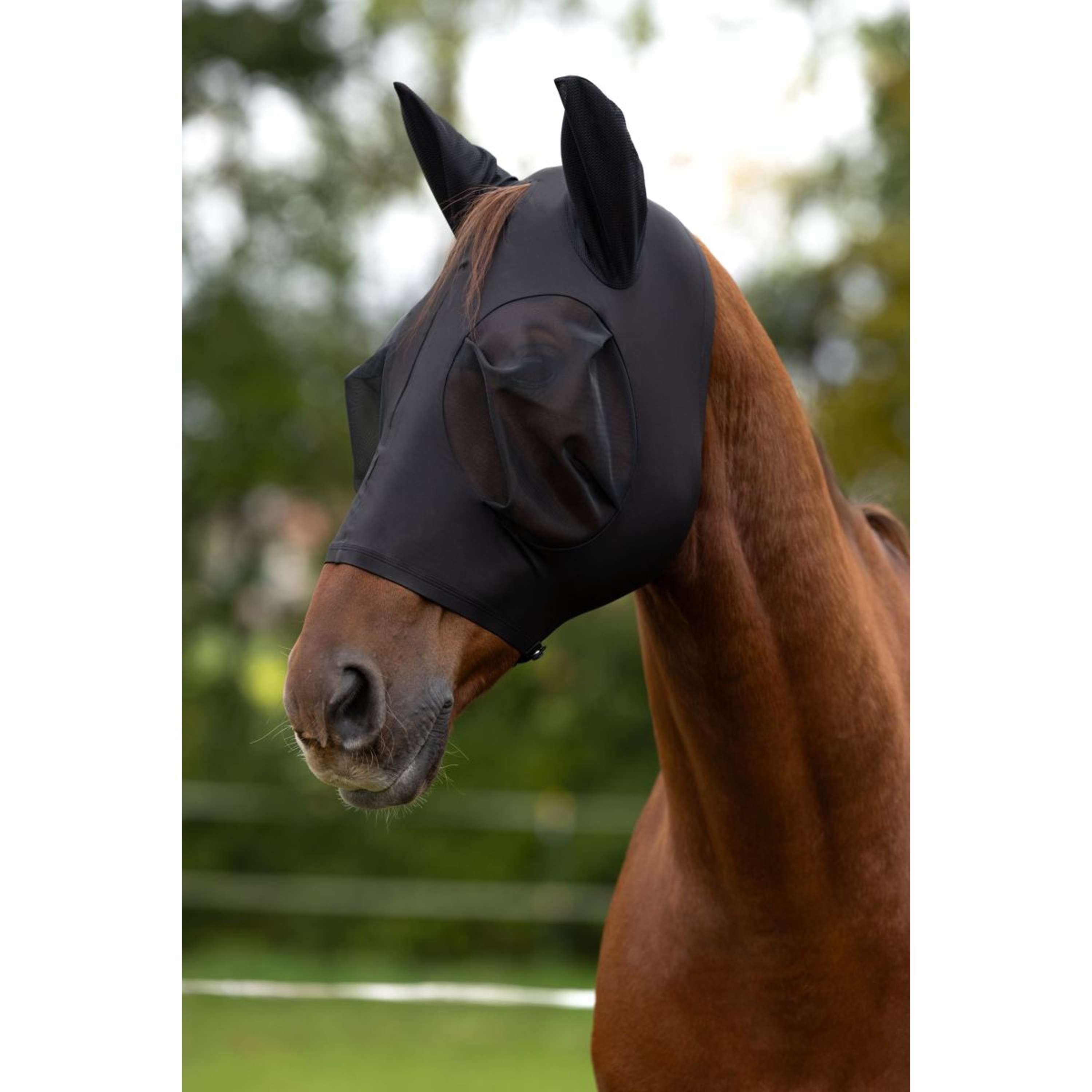 Covalliero Fly Mask FinoStretch Black