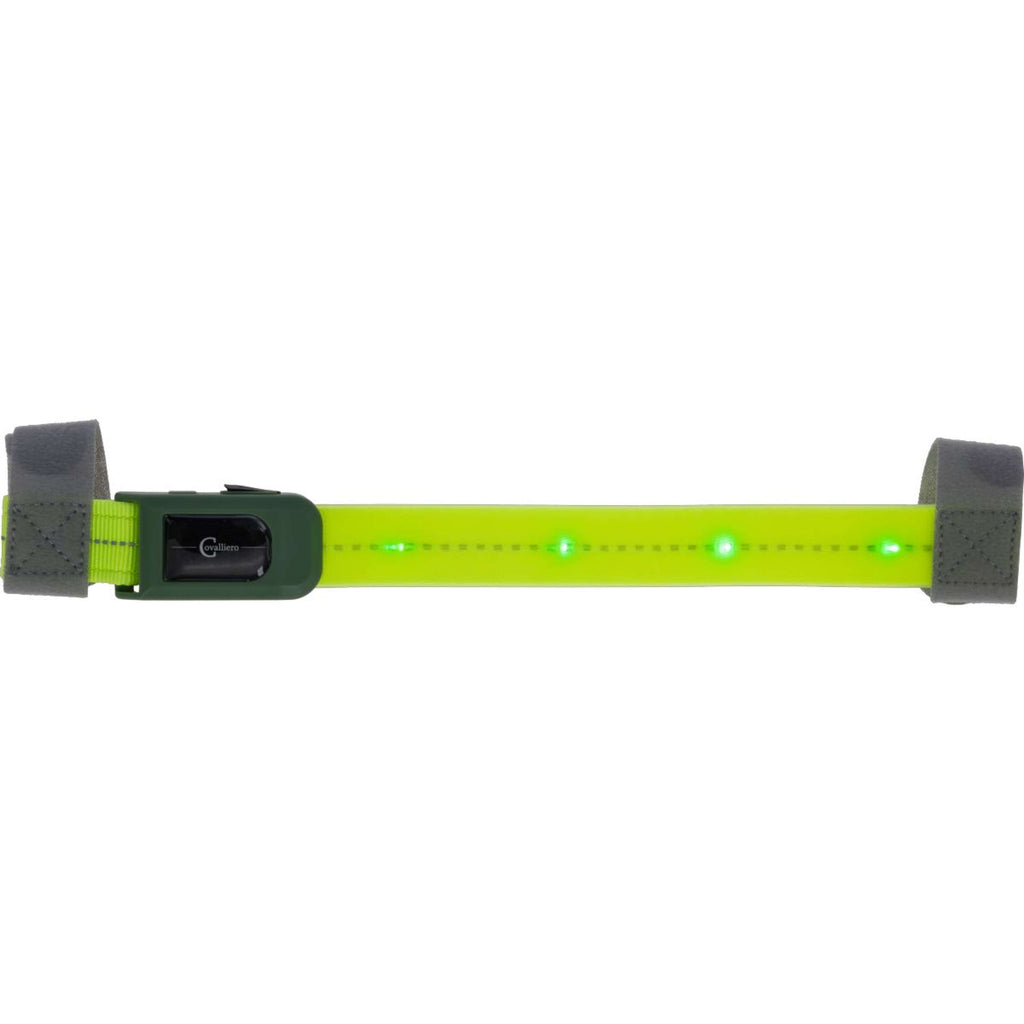 Covalliero Browband Led Reflection