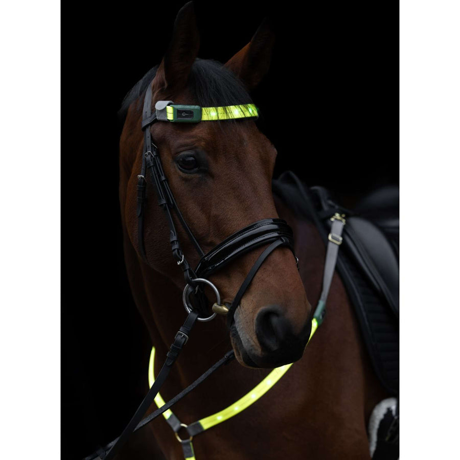 Covalliero Browband Led Reflection
