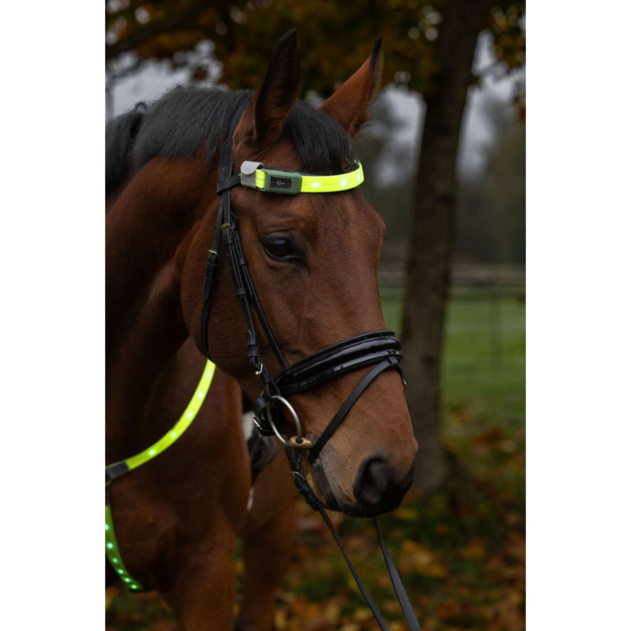 Covalliero Browband Led Reflection