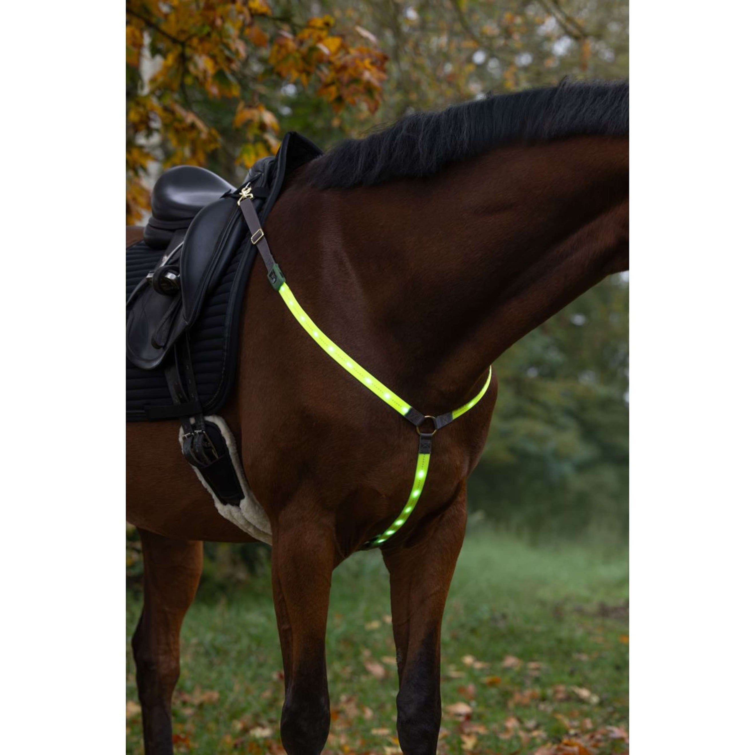 Covalliero Chest Buckle Led Reflection