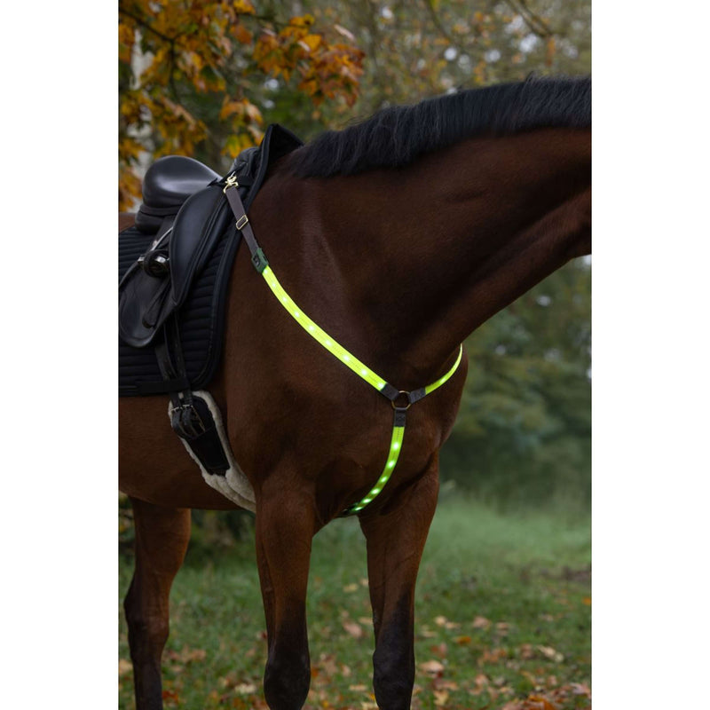 Covalliero Chest Buckle Led Reflection