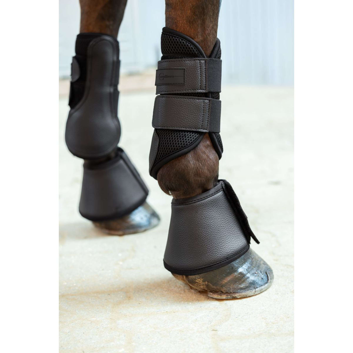 Covalliero Tendon Boots Avina Black