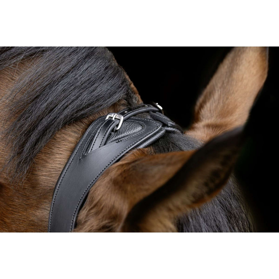 Covalliero Bridle Anatomic Black