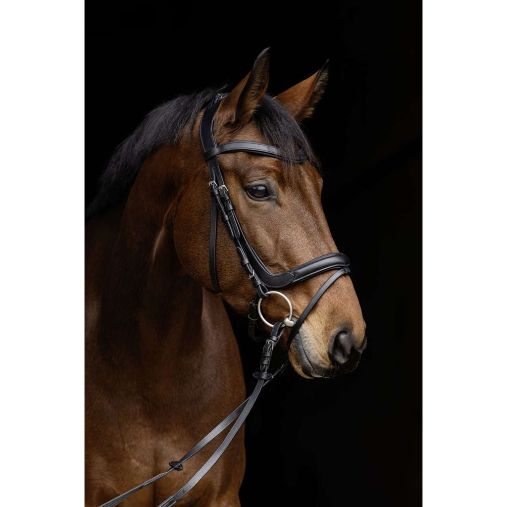 Covalliero Bridle Anatomic Black