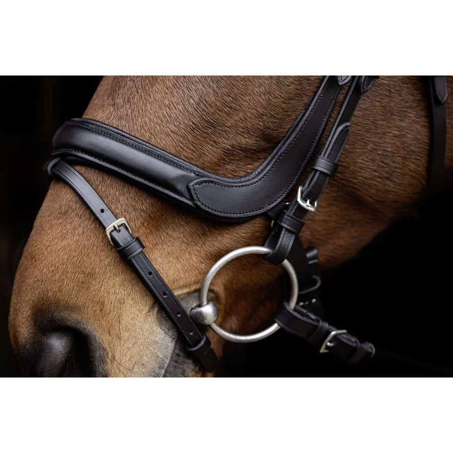 Covalliero Bridle Anatomic Black