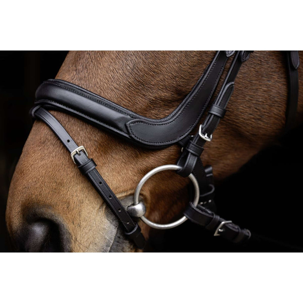 Covalliero Bridle Anatomic Black