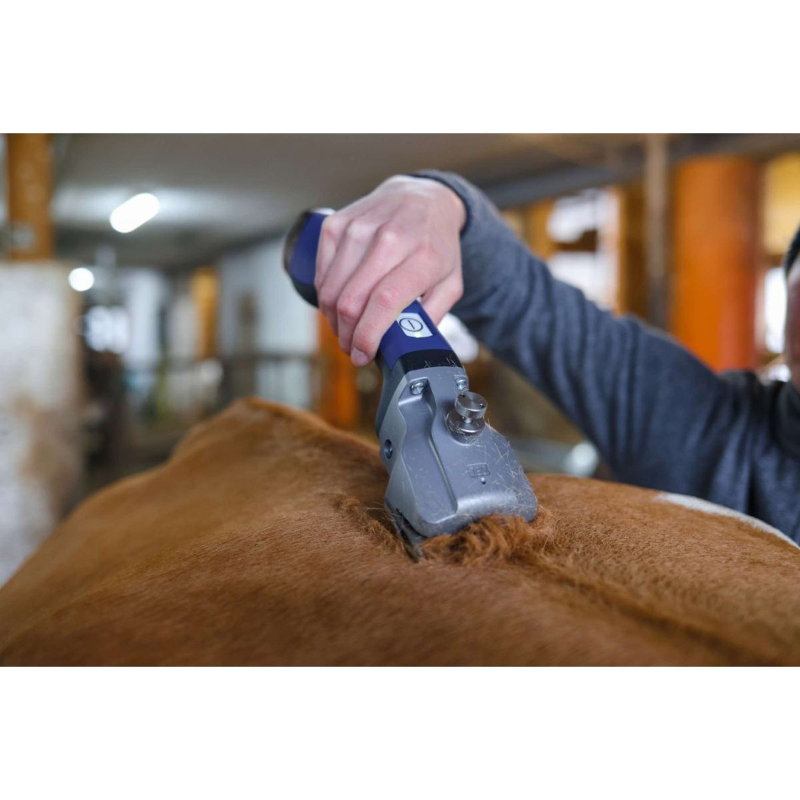 Aesculap Battery Shaving Machine Bonum Horse Blue Aesculap Battery Shaving Machine Bonum Horse Blue
