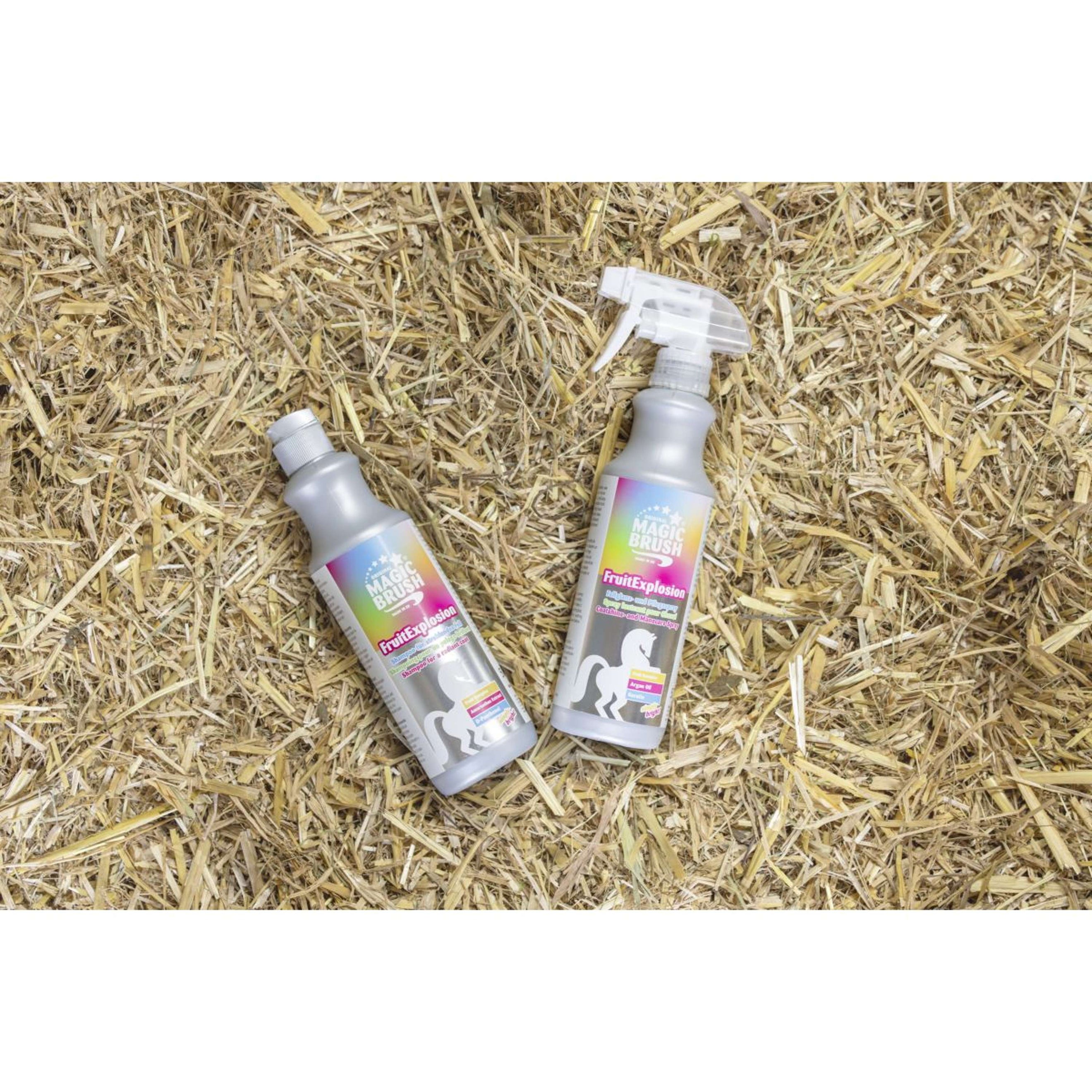 Magic Brush Shampoo FruitExplosion Magic Brush Shampoo FruitExplosion