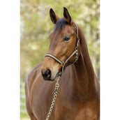 Covalliero Halter SS26 Black/Walnut