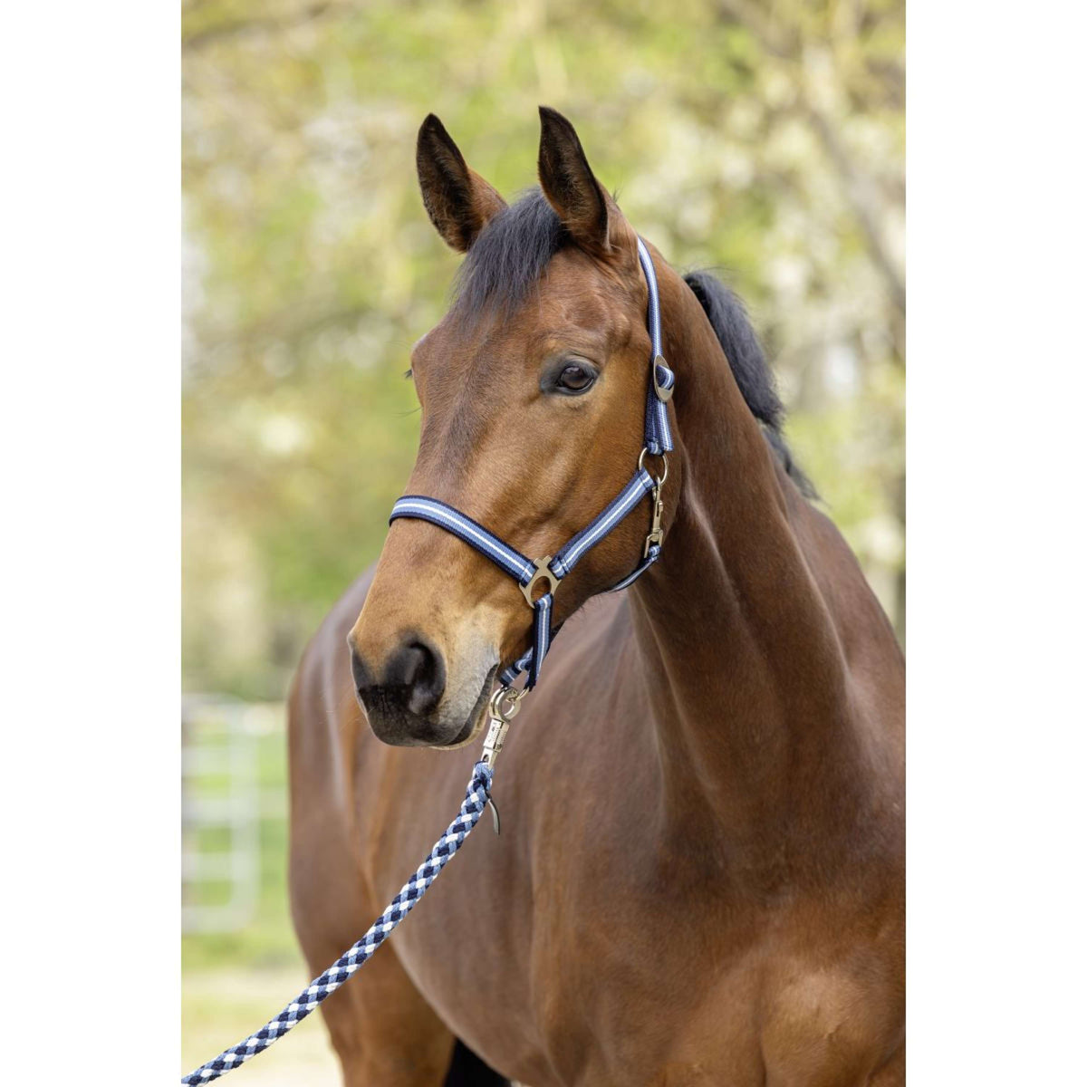 Covalliero Halter SS26 Dark Navy/Smoked Blue