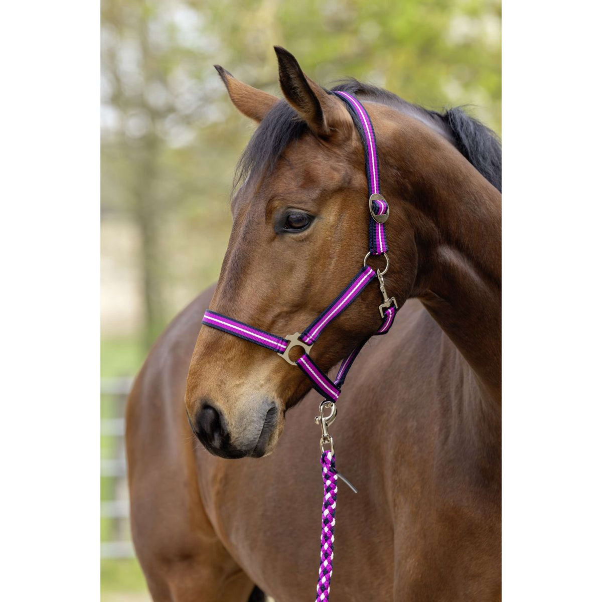 Covalliero Halter SS26 Dark Navy/Light Berry