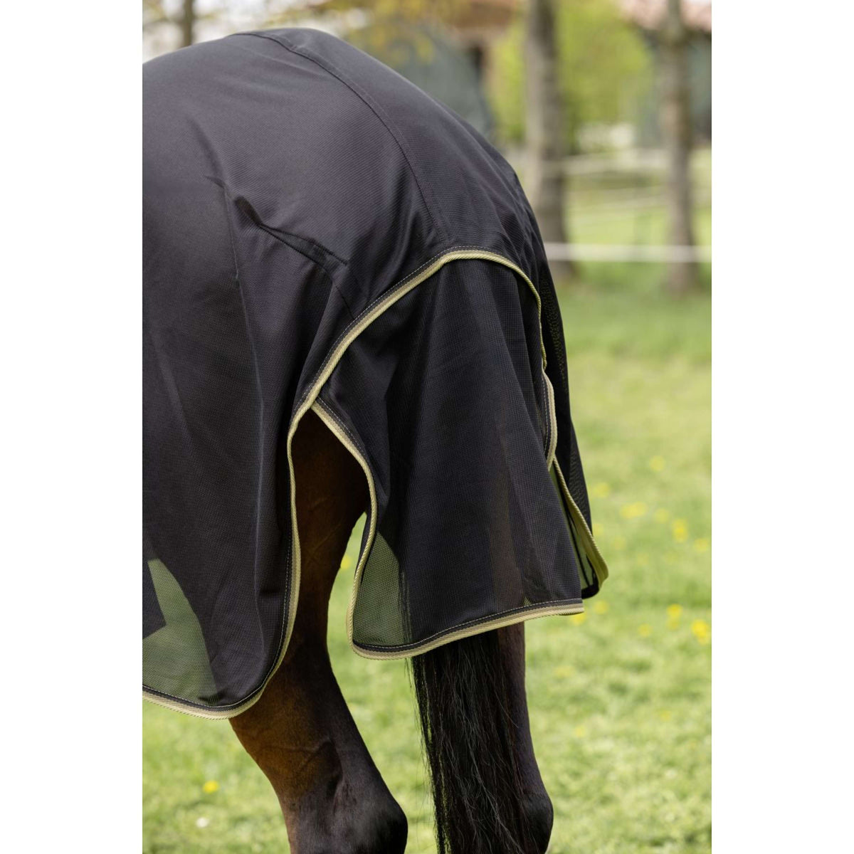 Covalliero Fly Rug SS26 Black