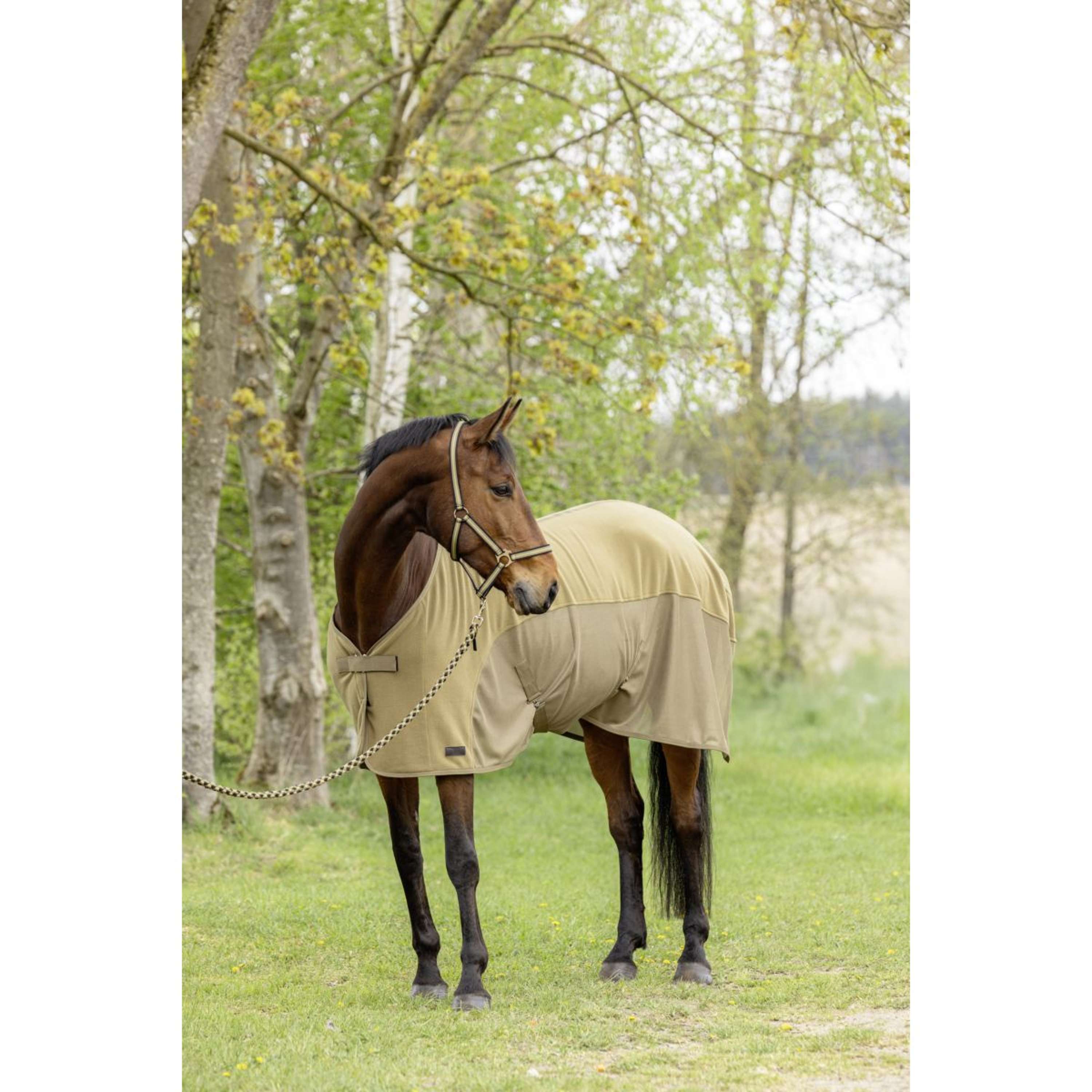 Covalliero Sweat Rug SS26 Walnut