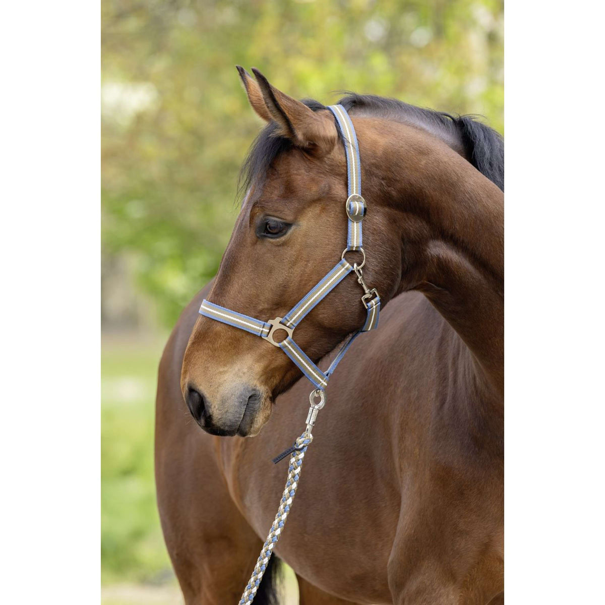 Covalliero Halter SS26 Smoked Blue/Walnut