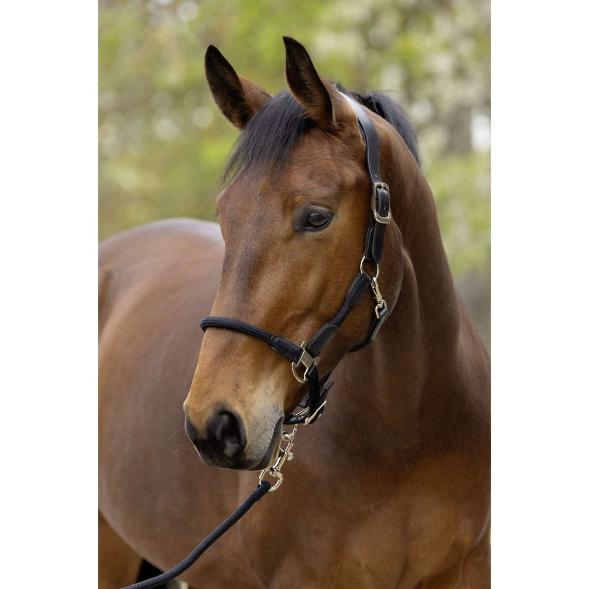 Covalliero Halter SS26 Black