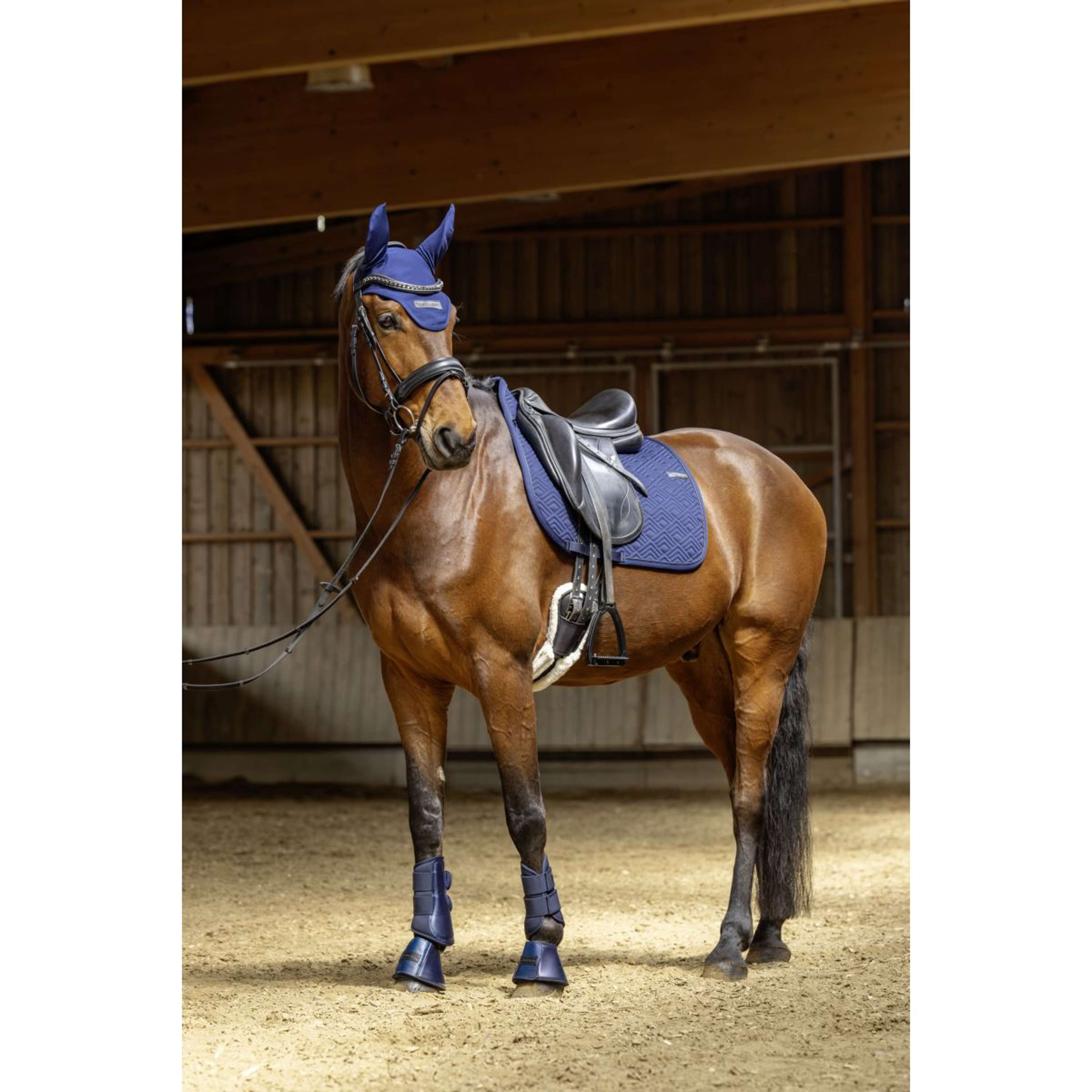 Covalliero Saddlepad SS26 General Purpose Dark Navy