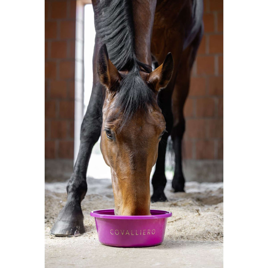Covalliero Food Bowl SS26 Light Berry